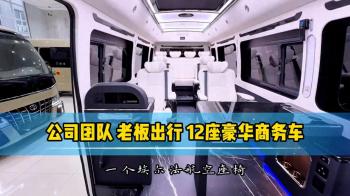 公司团建团队用车 老板出行12座豪华商务车  