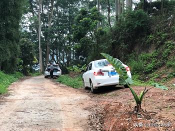 钓鱼天堂！这么大的原生态水库，免费钓，天天来都愿意  -图9