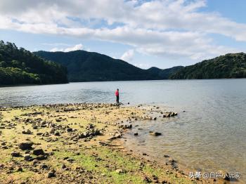 钓鱼天堂！这么大的原生态水库，免费钓，天天来都愿意  -图13