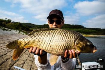 野钓大鲤鱼用什么味型？如何配制饵料？野钓大鲤鱼的用饵心得  -图1