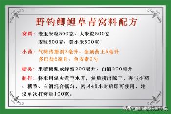 野钓大鲤鱼用什么味型？如何配制饵料？野钓大鲤鱼的用饵心得  -图5