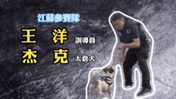 中国警犬界奥运会，时隔六年重启，巅峰对决，哪汪更强？  -图8