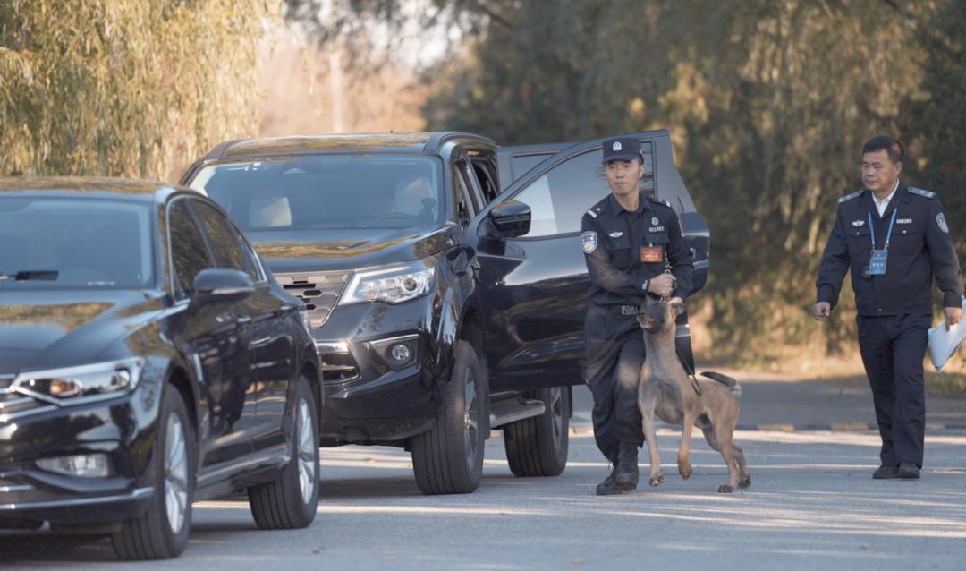 中国警犬界奥运会，时隔六年重启，巅峰对决，哪汪更强？  -图28