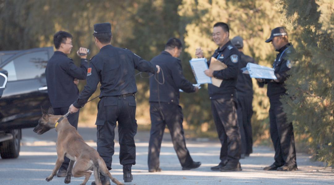 中国警犬界奥运会，时隔六年重启，巅峰对决，哪汪更强？  -图29