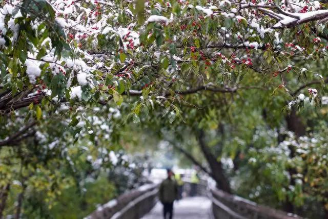 山东今年降水较常年多三成，2025年或有洪涝风险  